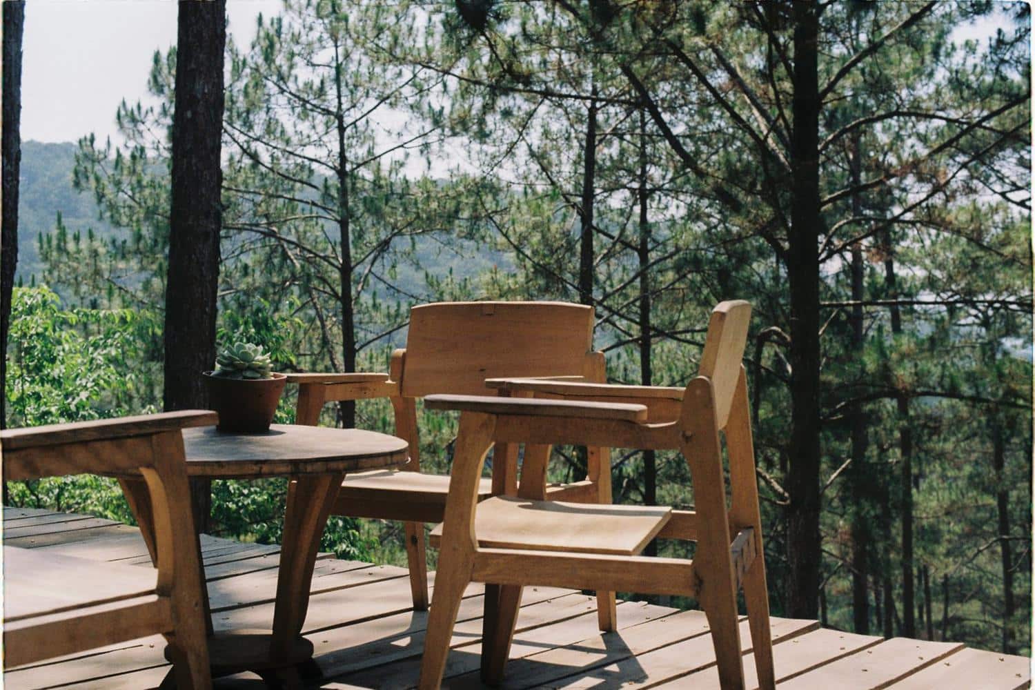 A timber deck with a table and chairs under trees