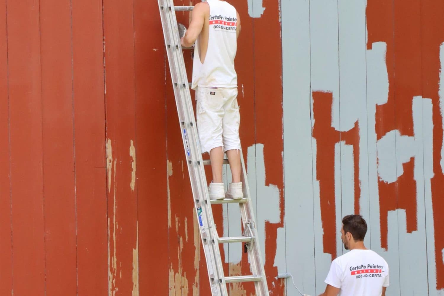 A painter on a ladder working across a patterned exterior wall