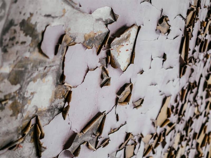 Old paint layers lifting from a wall before they are scraped back